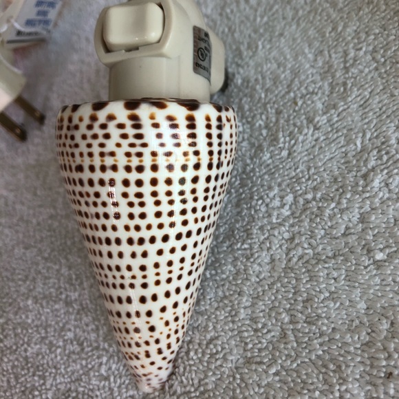 NEW! Spotted Cone Seashell NIGHT LIGHT - Picture 2 of 4